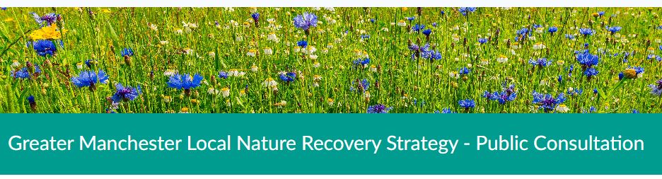 GM Local Nature Recovery Strategy