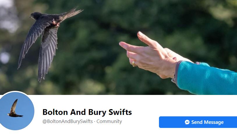 Swifts Newsletter June 2021